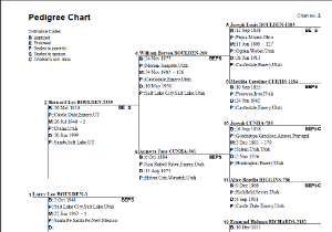 Pedigree Chart Example